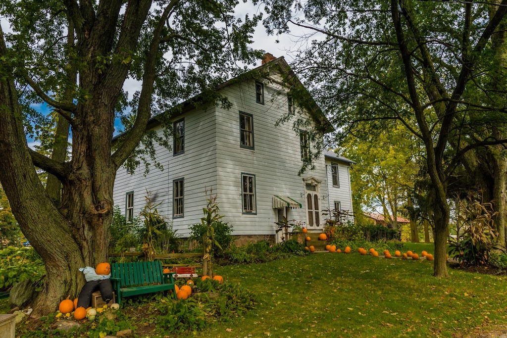 Knoxs Pumpkin Farm | 6325 Enfield Rd, Hampton, ON L0B 1J0, Canada | Phone: (905) 263-2934