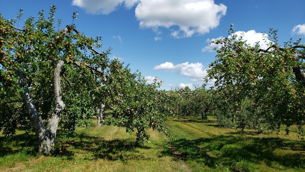 Verger Bio À la Croisée des pommes inc | 90 Rue Lacroix, Saint-Joseph-du-Lac, QC J0N 1M0, Canada | Phone: (450) 623-8621