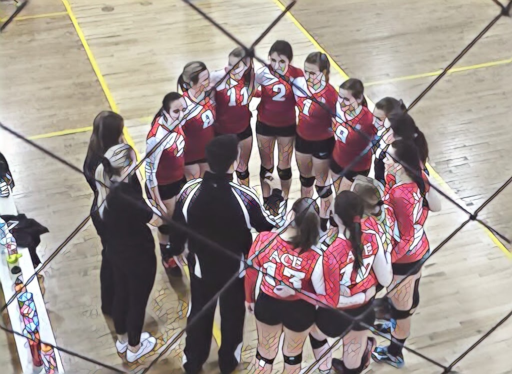 Ace Volleyball Club- Calgary Chapter | #130, 10 Smed Lane S.E, Calgary, AB T2C 4T5, Canada | Phone: (800) 683-5317