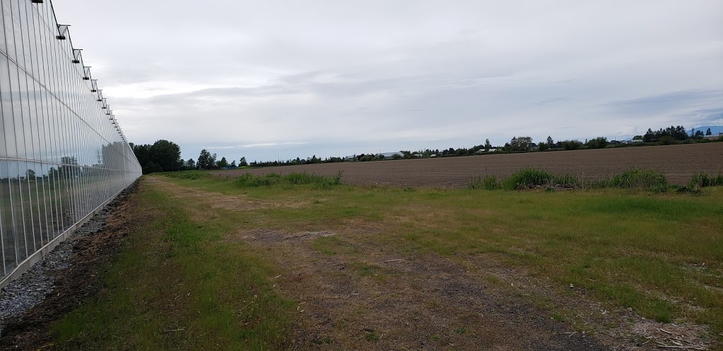 Windset Farms | 3660 41b St, Delta, BC V4K 3N2, Canada | Phone: (604) 940-7700