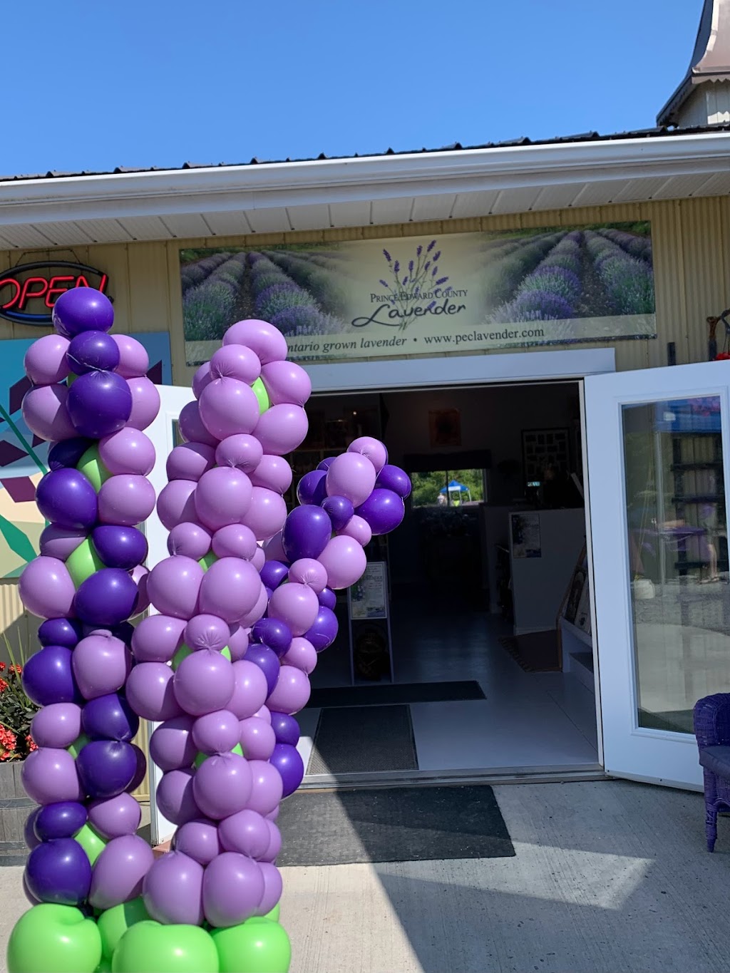 County Balloons | Carnrike Rd, Consecon, ON K0K 1T4, Canada | Phone: (613) 243-1002