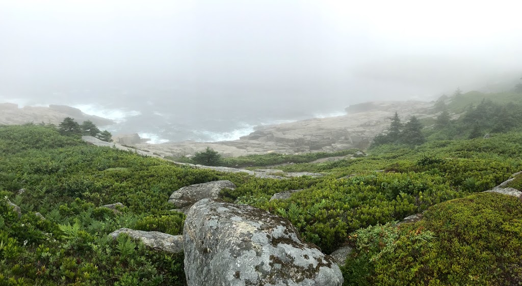 Duncans Cove Trail | Duncans Cove, NS B3V 1K4, Canada