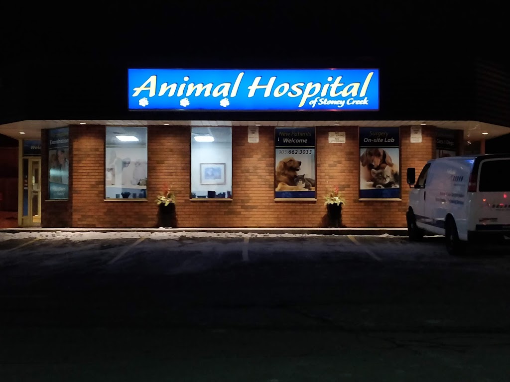 Animal Hospital Of Stoney Creek | 2804 King St E, Hamilton, ON L8G 1J5, Canada | Phone: (905) 662-3033