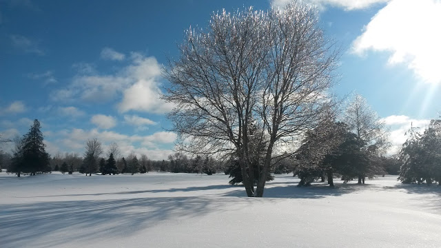 Sheffield Greens Golf Course | 193 Mill Line Rd, Bobcaygeon, ON K0M 1A0, Canada | Phone: (705) 738-2567