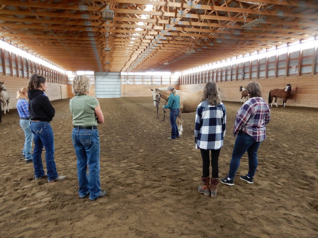 Takoda Equine Therapy | Box 5313 6105 twp rd 500 Berrymoor, Drayton Valley, AB T7A 1R5, Canada | Phone: (780) 621-6464