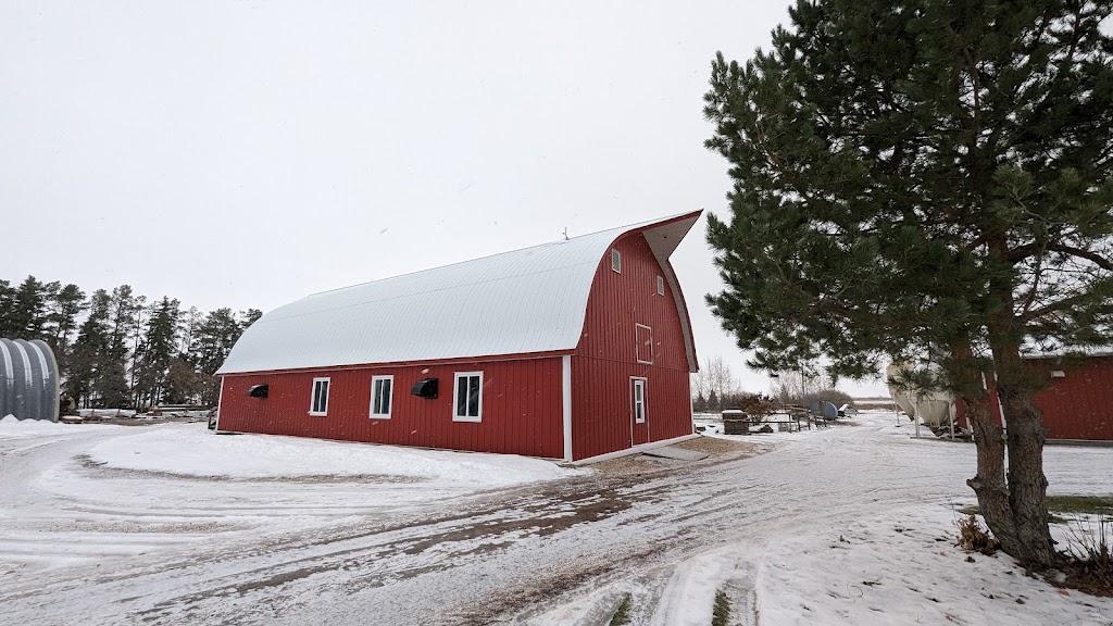 Trileaf Honey Farm | Unnamed Road, Baldur, MB R0K 0B0, Canada | Phone: (204) 570-1140