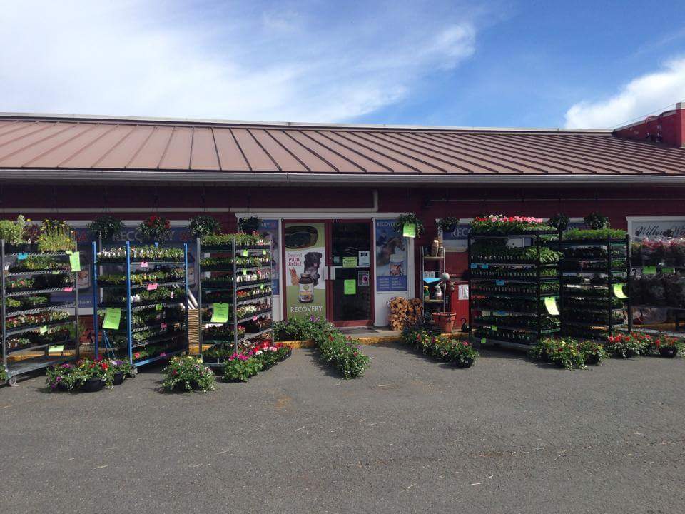 Willow Wind Feed & Pet Food | 2714 Sooke Rd, Victoria, BC V9B 1Y7, Canada | Phone: (250) 478-8012
