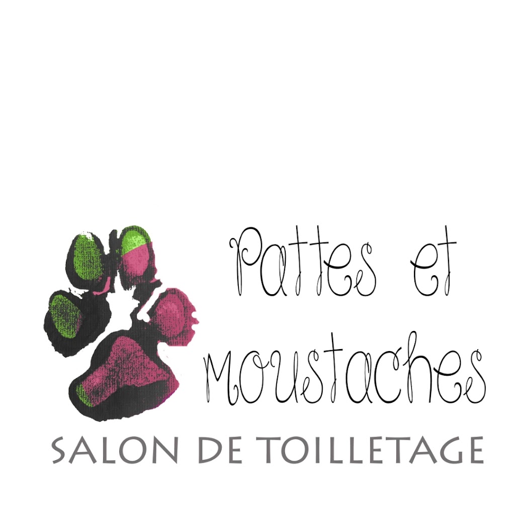 Salon de Toilettage Pattes et Moustaches | 2042 Avenue St Laurent, Plessisville, QC G6L 2R3, Canada | Phone: (819) 806-8254