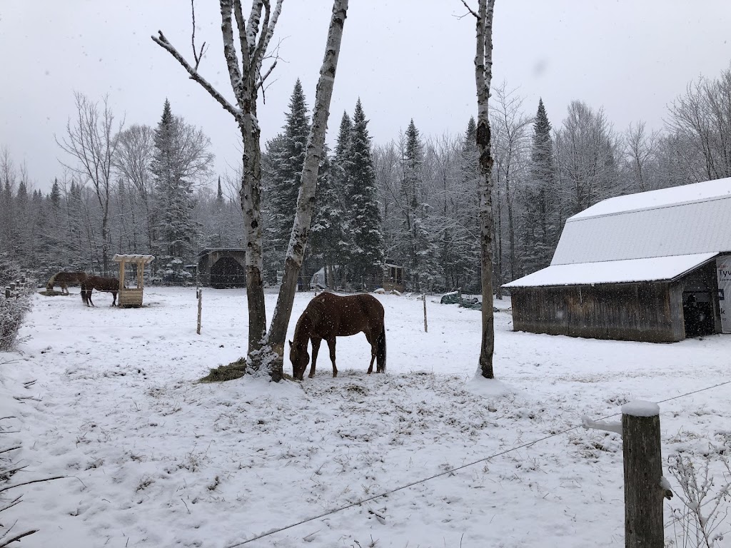 Écurie du sommet | 555 Chem. du Sommet, Fossambault-sur-le-Lac, QC G3N 0M5, Canada | Phone: (418) 261-7567