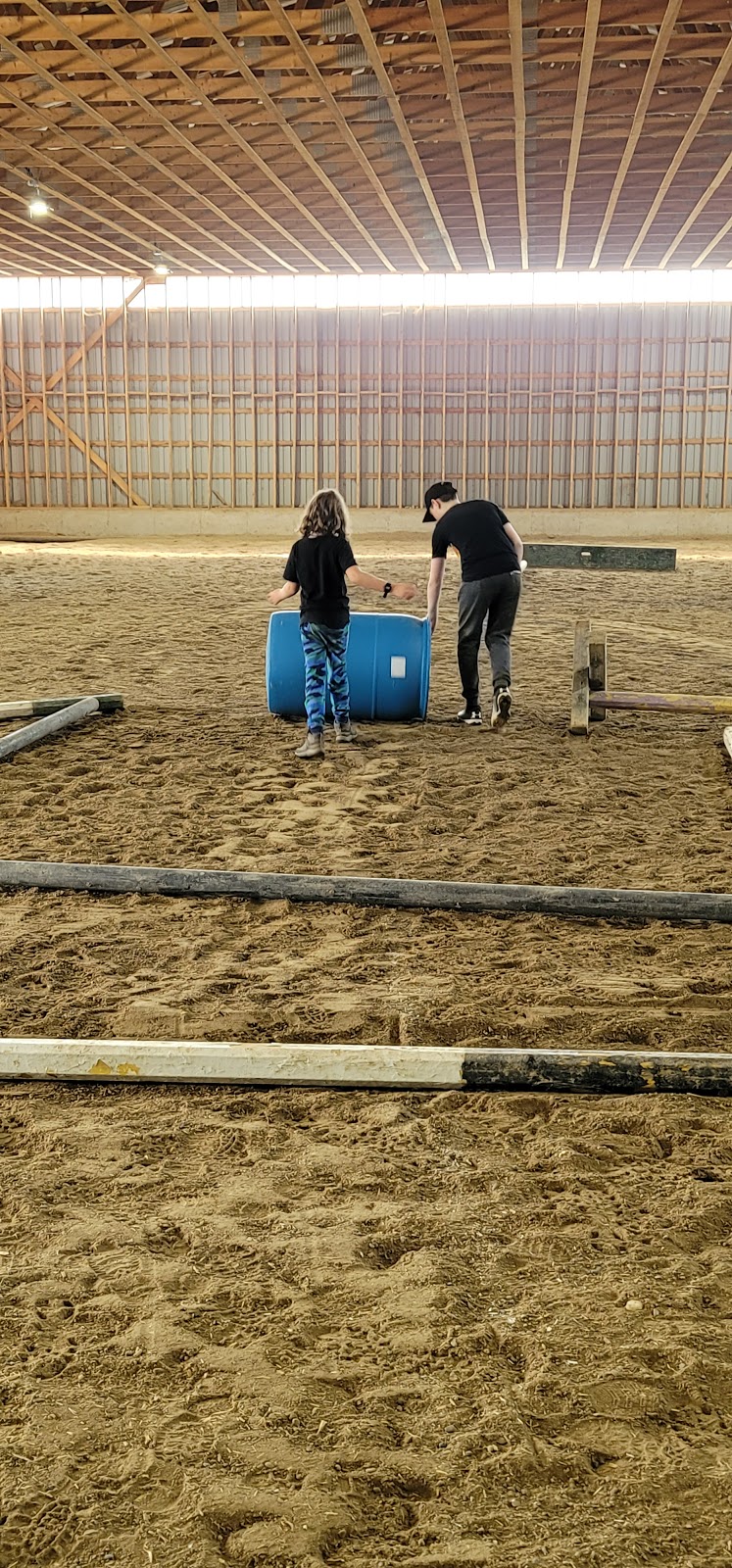 Transitions Equine Assisted Learning | 675671 16 Line, Innerkip, ON N0J 1M0, Canada | Phone: (226) 232-5410