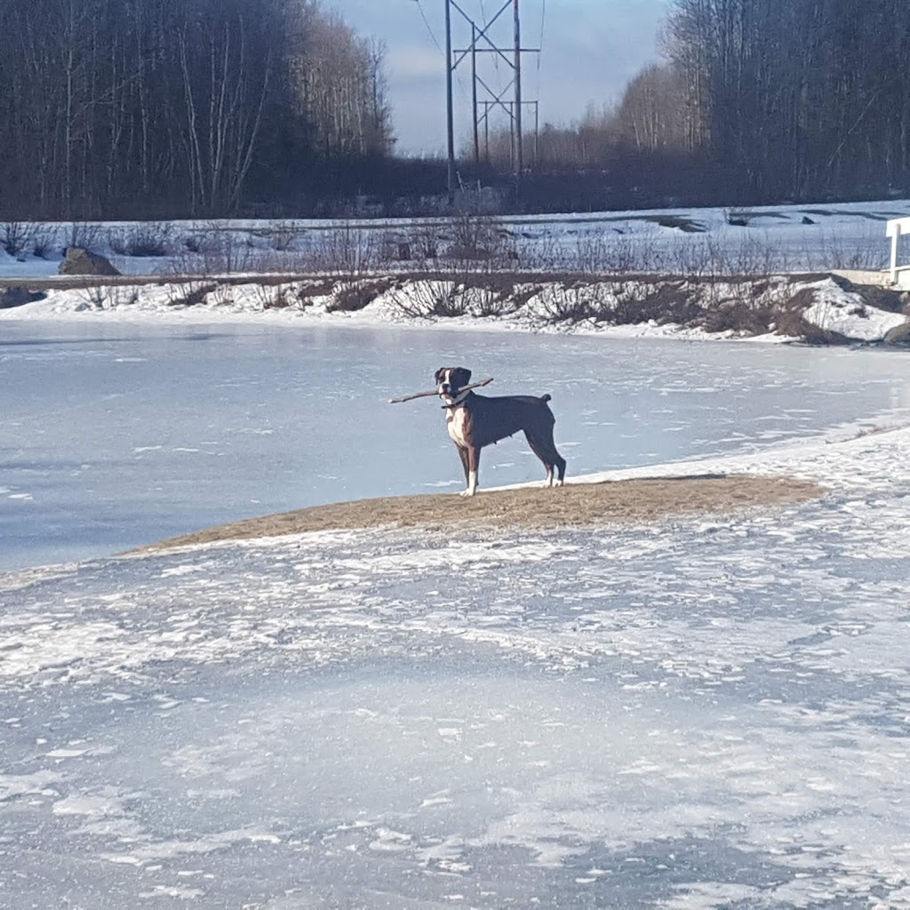 Trenton Park Pool | Trenton Park,, 119 Park Rd, Trenton, NS B0K 1X0, Canada | Phone: (902) 755-4488