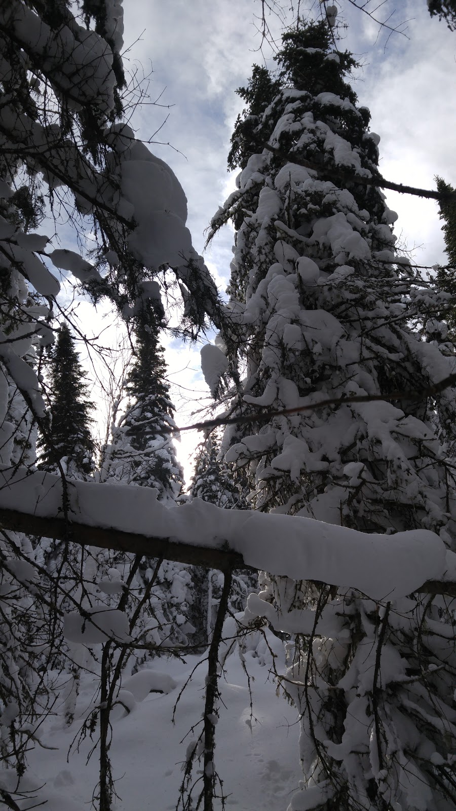 Camp Mercier | Réserve Faunique des Laurentides, Route 175, Lac-Jacques-Cartier, QC G0A 3K0, Canada | Phone: (418) 848-2422