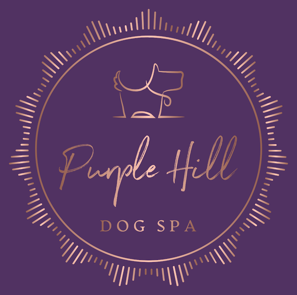 Purple Hill Dog Spa | 20529 Purple Hill Rd, Thorndale, ON N0M 2P0, Canada | Phone: (519) 854-8370