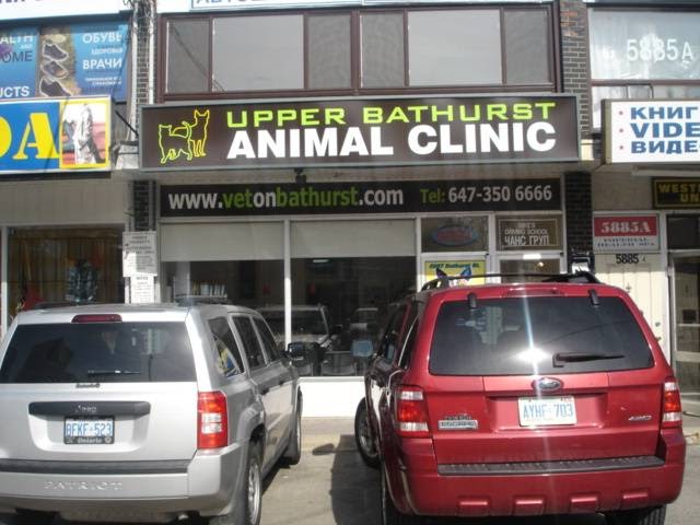 Upper Bathurst Animal Clinic | 5887 Bathurst St, North York, ON M2R 1Y7, Canada | Phone: (647) 350-6666