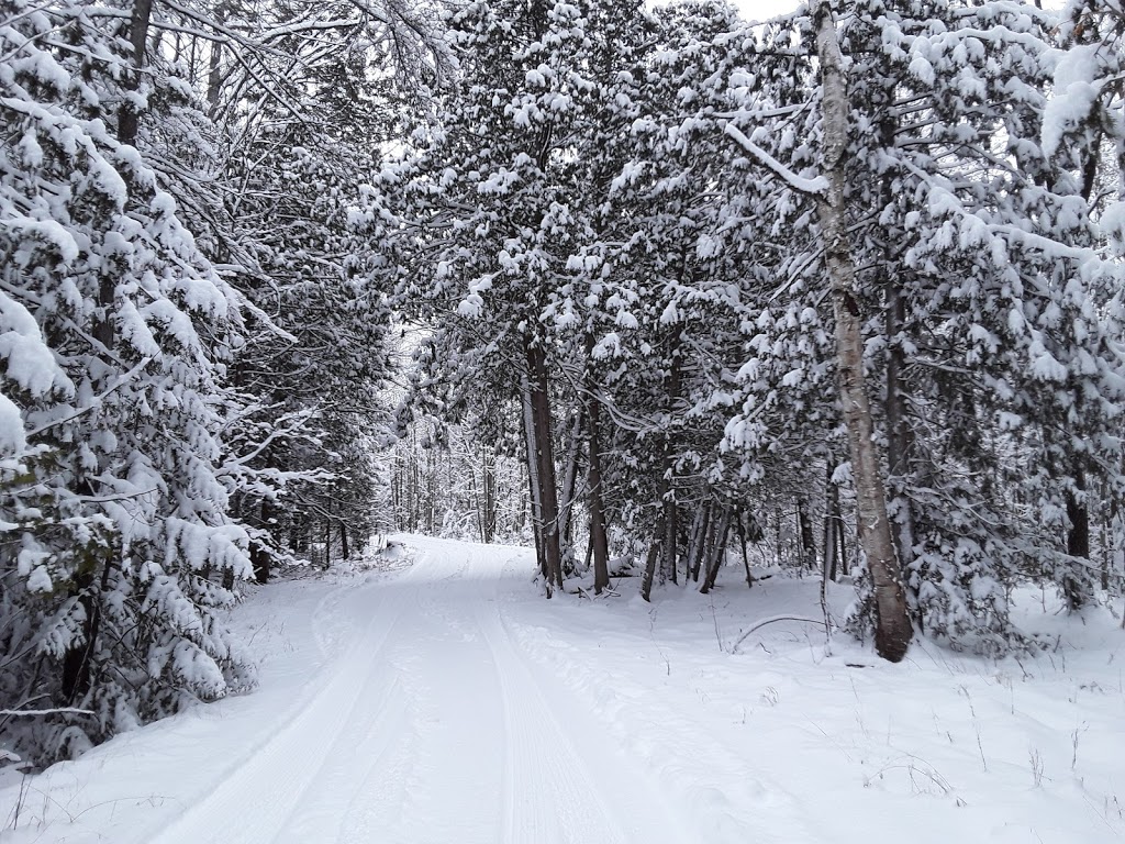 Robert L Bowles Nature Centre | Concession Rd 10, Ramara, ON L0K 1B0, Canada | Phone: (249) 385-6834