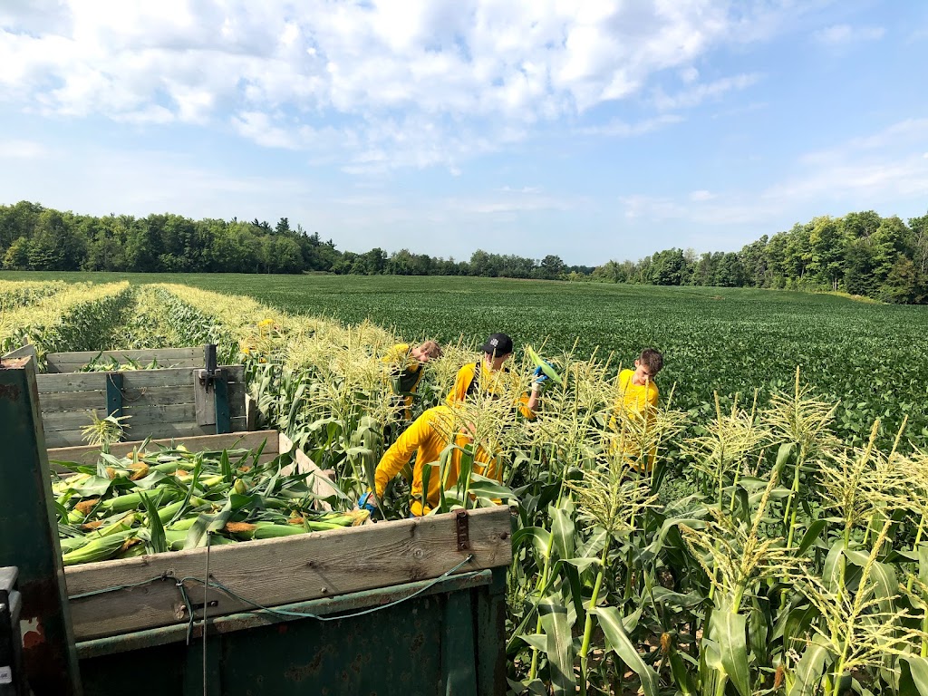 Allisons Farm Market | 10636 8 Line, Georgetown, ON L7G 4S5, Canada | Phone: (905) 873-8283