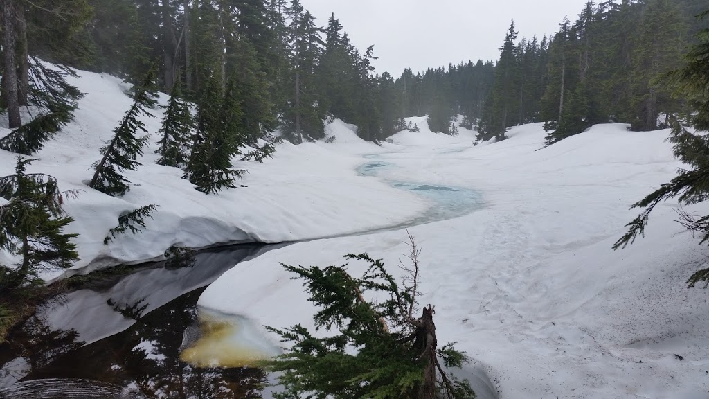 The North Shore - Eagle Bluffs | West Vancouver, BC V0N 1G0, Canada