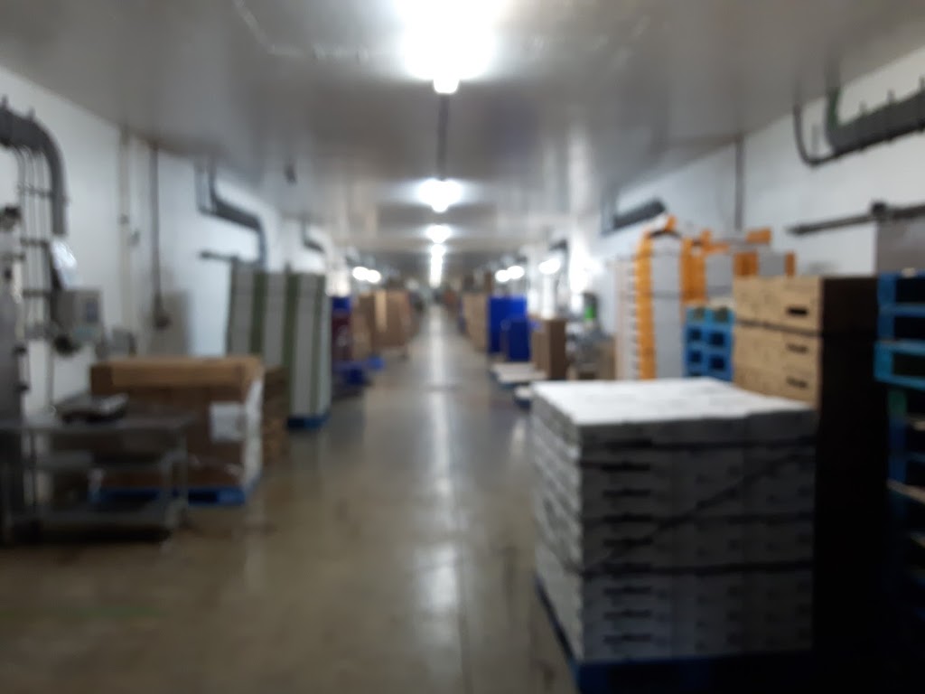 All Seasons Mushroom Farm | Langley Twp, BC V2Z 2G7, Canada | Phone: (778) 889-8309