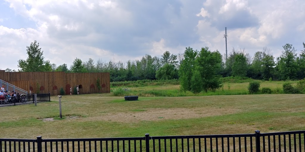 Birds of Prey - Flying Demonstration | Flamborough, Hamilton, ON N1R 5S2, Canada