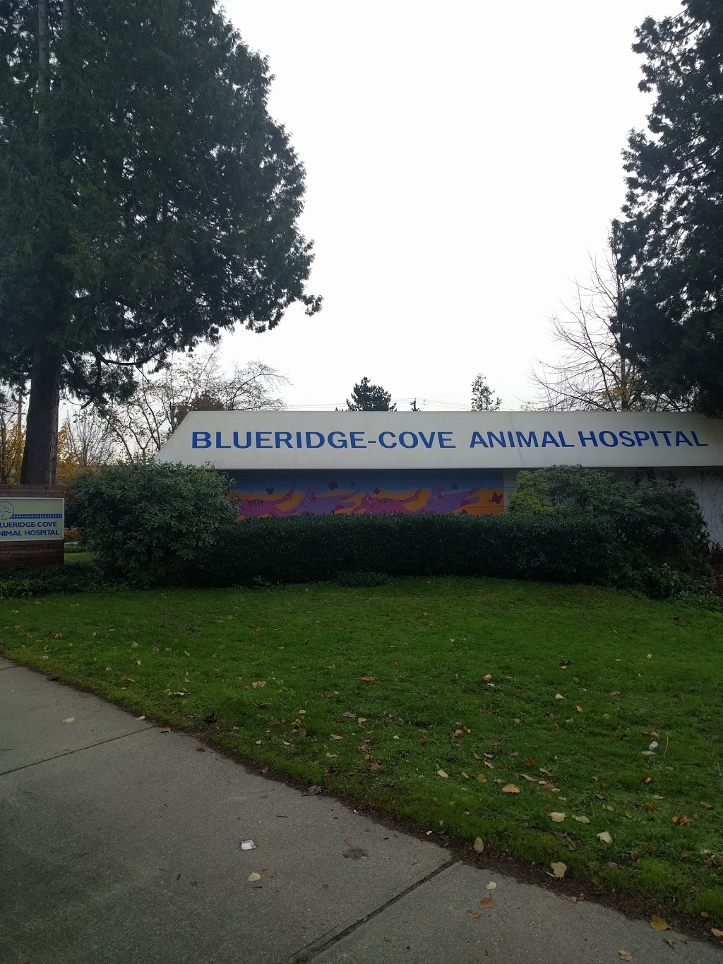 VCA Canada Blueridge-Cove Animal Hospital | 165 Riverside Dr W, North Vancouver, BC V7H 1T6, Canada | Phone: (604) 929-3491