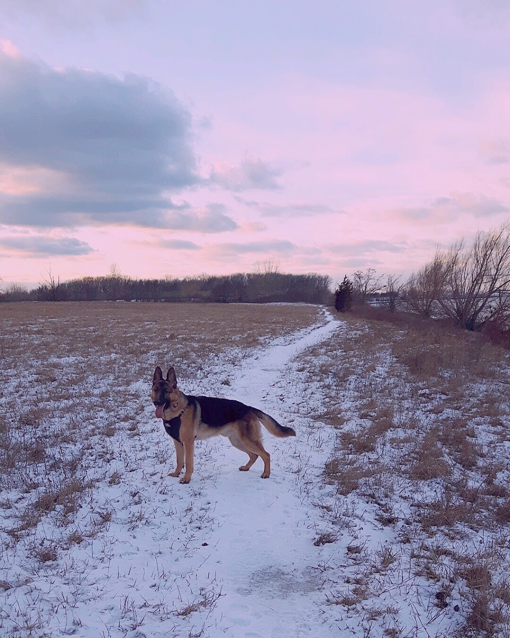 Oakes Road North Leash-Free Dog Park | Oakes Rd N, Grimsby, ON L3M, Canada