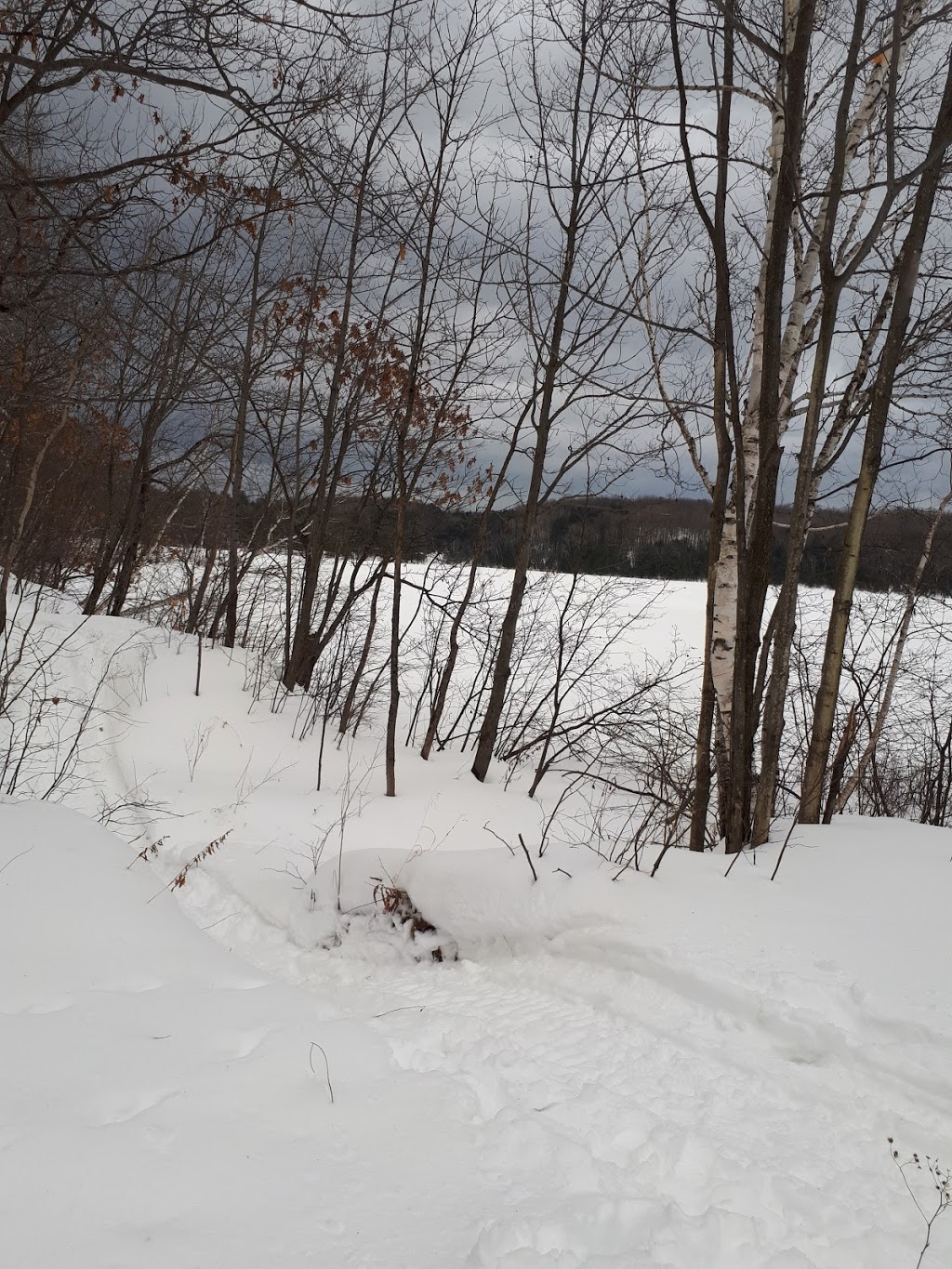 Plage sentier Hydro-Québec | Shawinigan, QC G9N 7J4, Canada