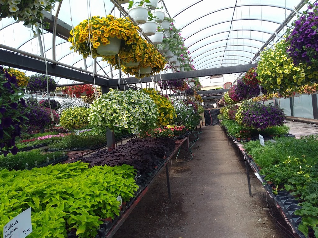 Little Village Garden Centre | Adams Rd, Trenton, ON K8V 5P4, Canada | Phone: (613) 392-4504