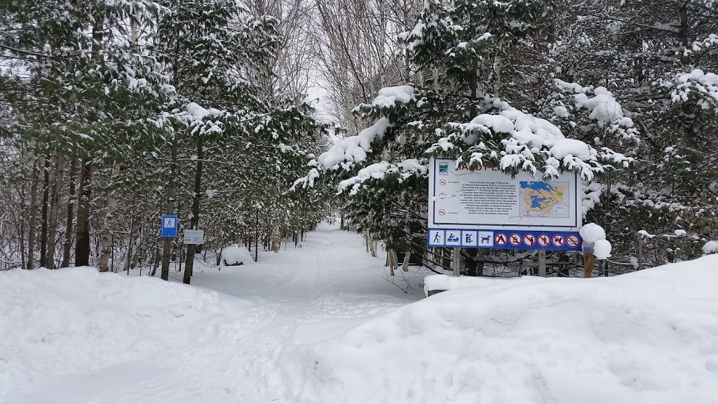 Hardy Lake Trail Head | Muskoka District Road 169, Gravenhurst, ON P1P 1R2, Canada