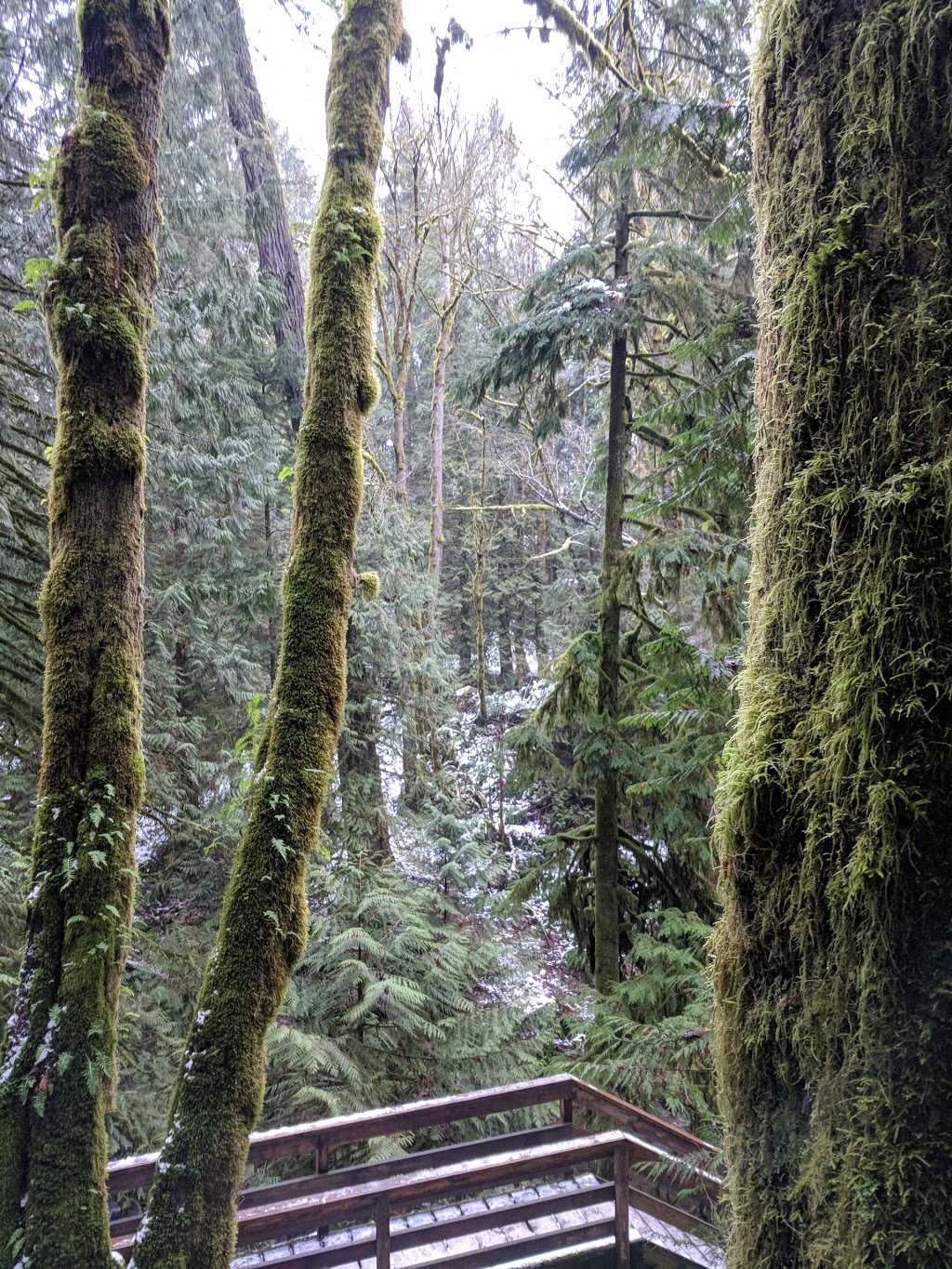 Stocking Creek Waterfall | Stocking Creek Trail, Ladysmith, BC V9G 2A4, Canada