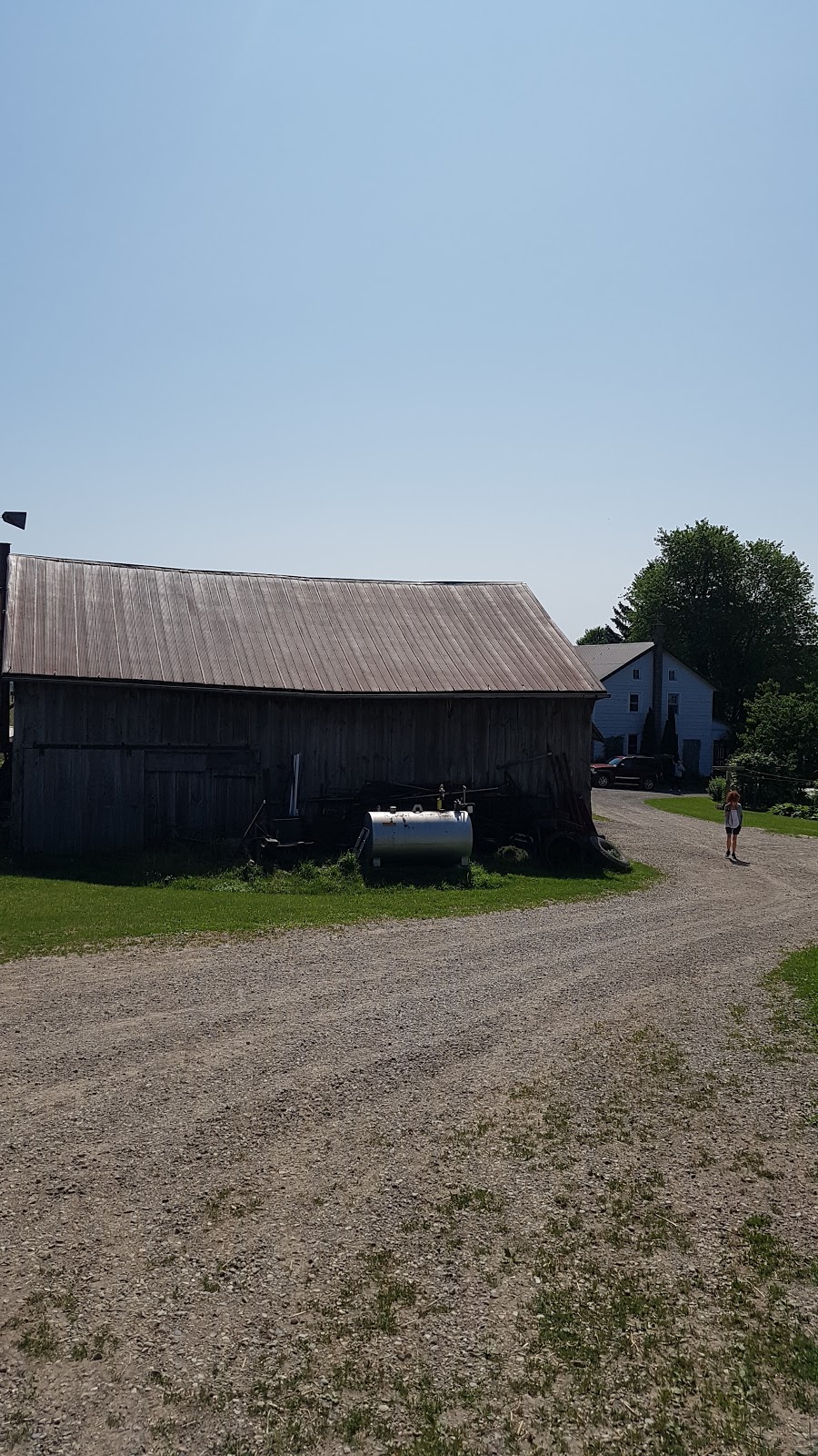 Orange Blossom Farm | 1290 Martin Creek Rd, Waterloo, ON N2J 3Z4, Canada | Phone: (519) 664-1237