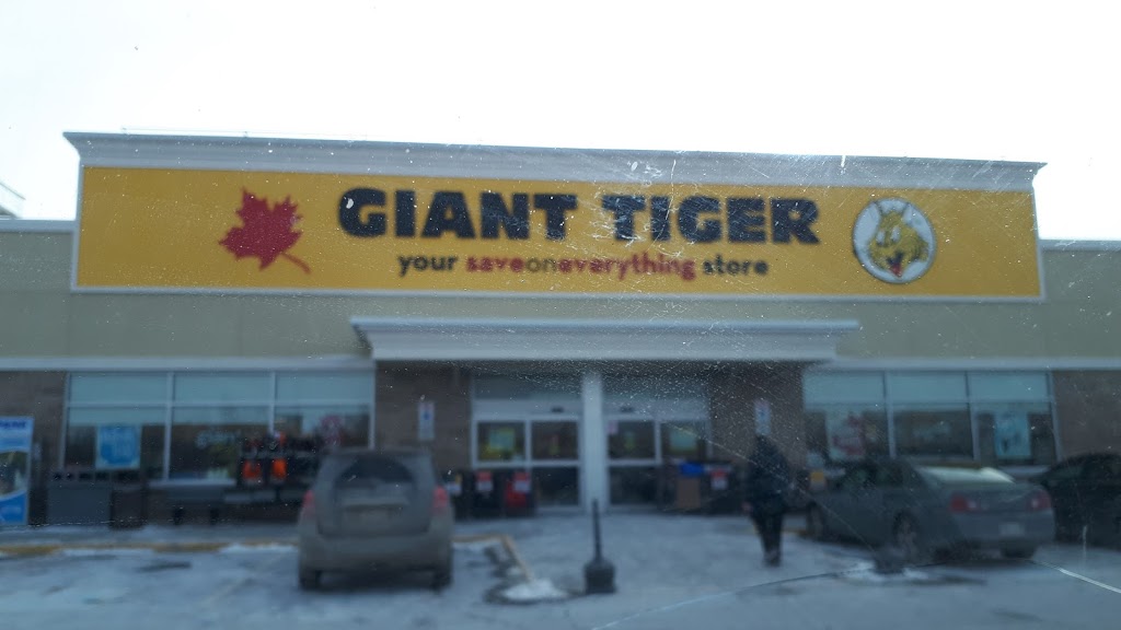 Giant Tiger | 654 Notre Dame St, Embrun, ON K0A 1W0, Canada | Phone: (613) 443-1215