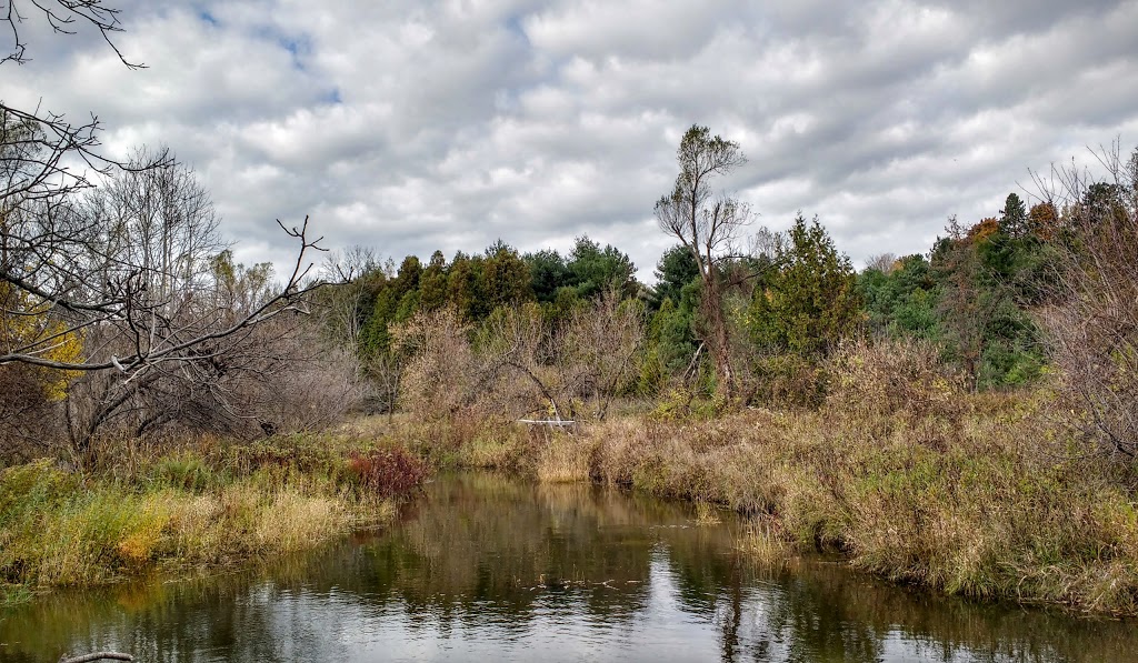 Bindertwine Park | 299 Stegmans Mill Rd, Woodbridge, ON L4H 3N5, Canada