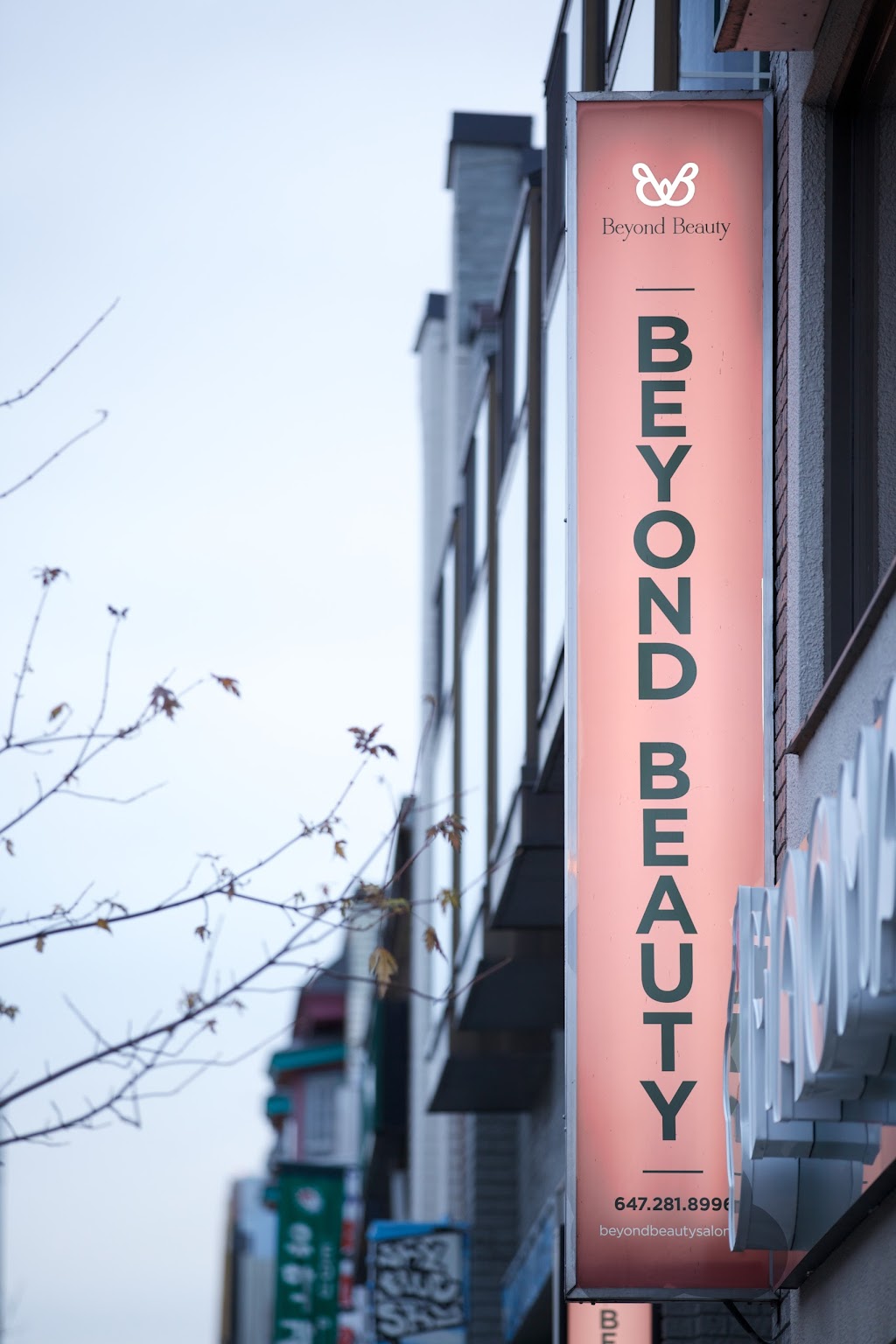 Beyond Beauty | 346 Margueretta St, Toronto, ON M6H 3S5, Canada | Phone: (647) 281-8996