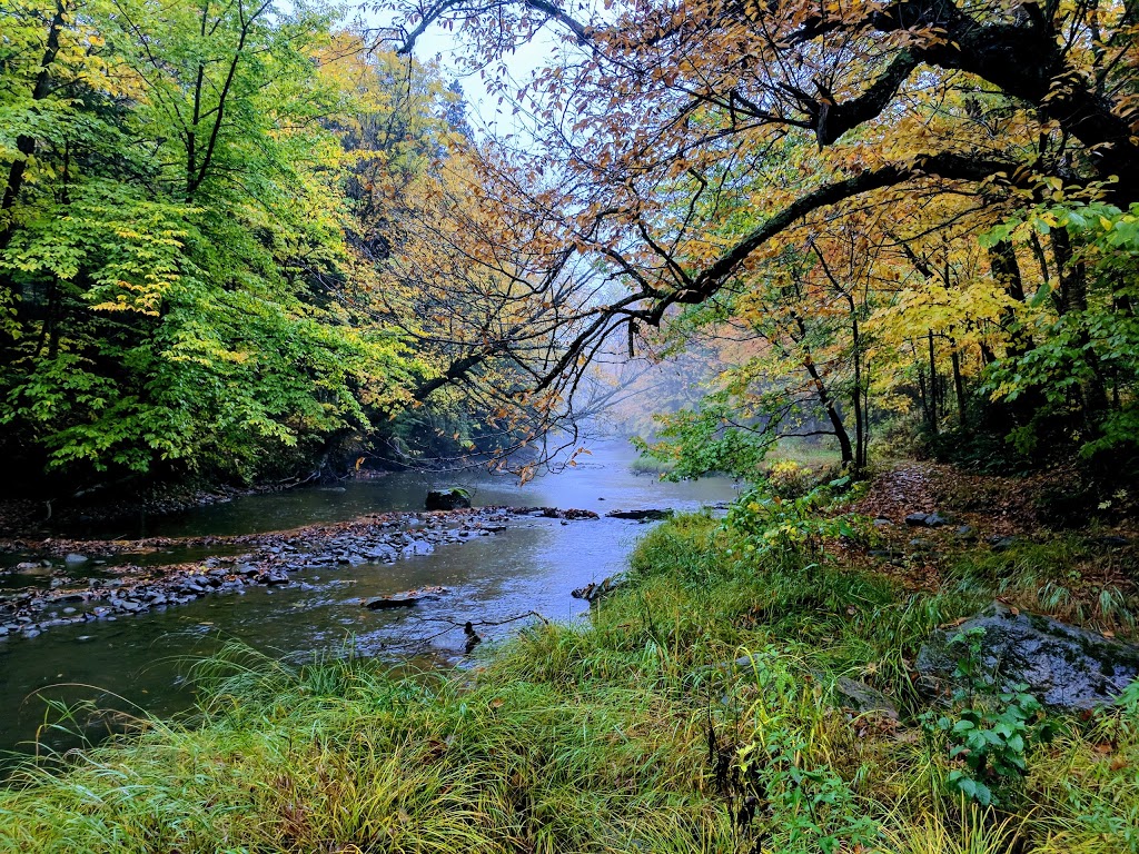 Rivière Aulneuse | Saint-Nicolas, Levis, QC G7A 4P6, Canada