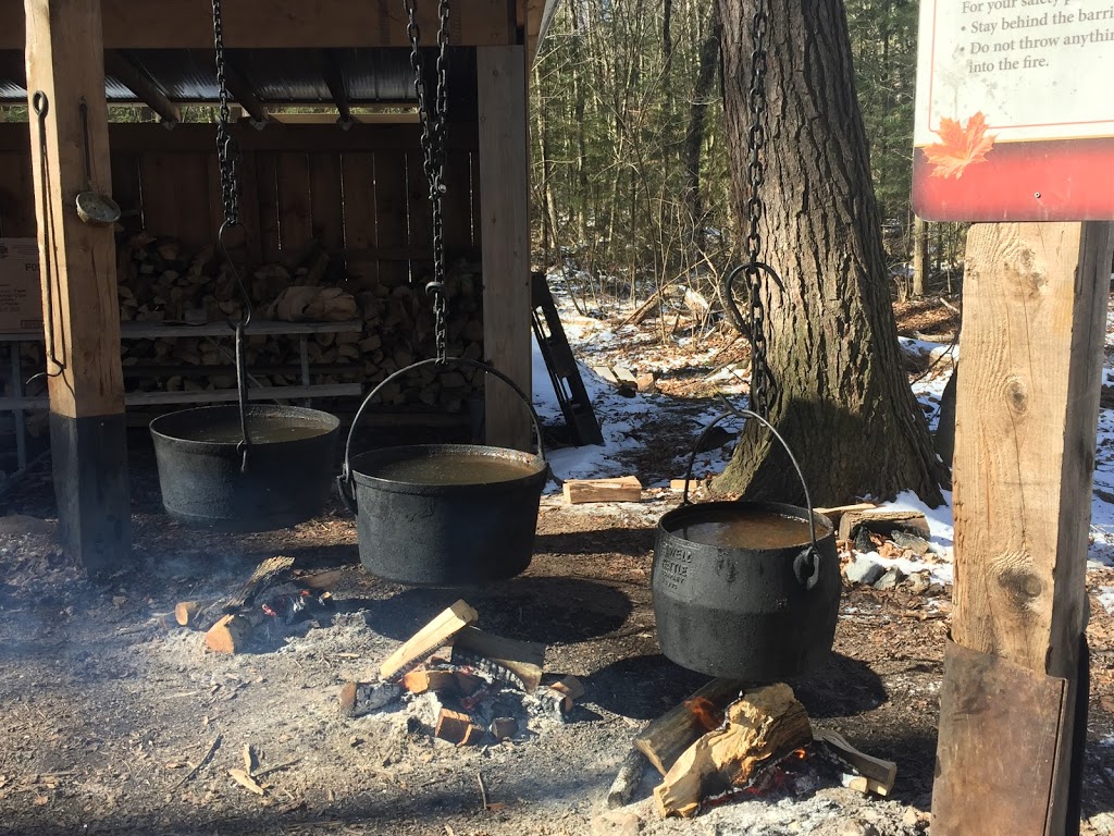 Sugarbush Maple Syrup Festival at Bruces Mill Conservation Area | 3291 Stouffville Rd, Whitchurch-Stouffville, ON L4A 7X5, Canada | Phone: (905) 887-5531