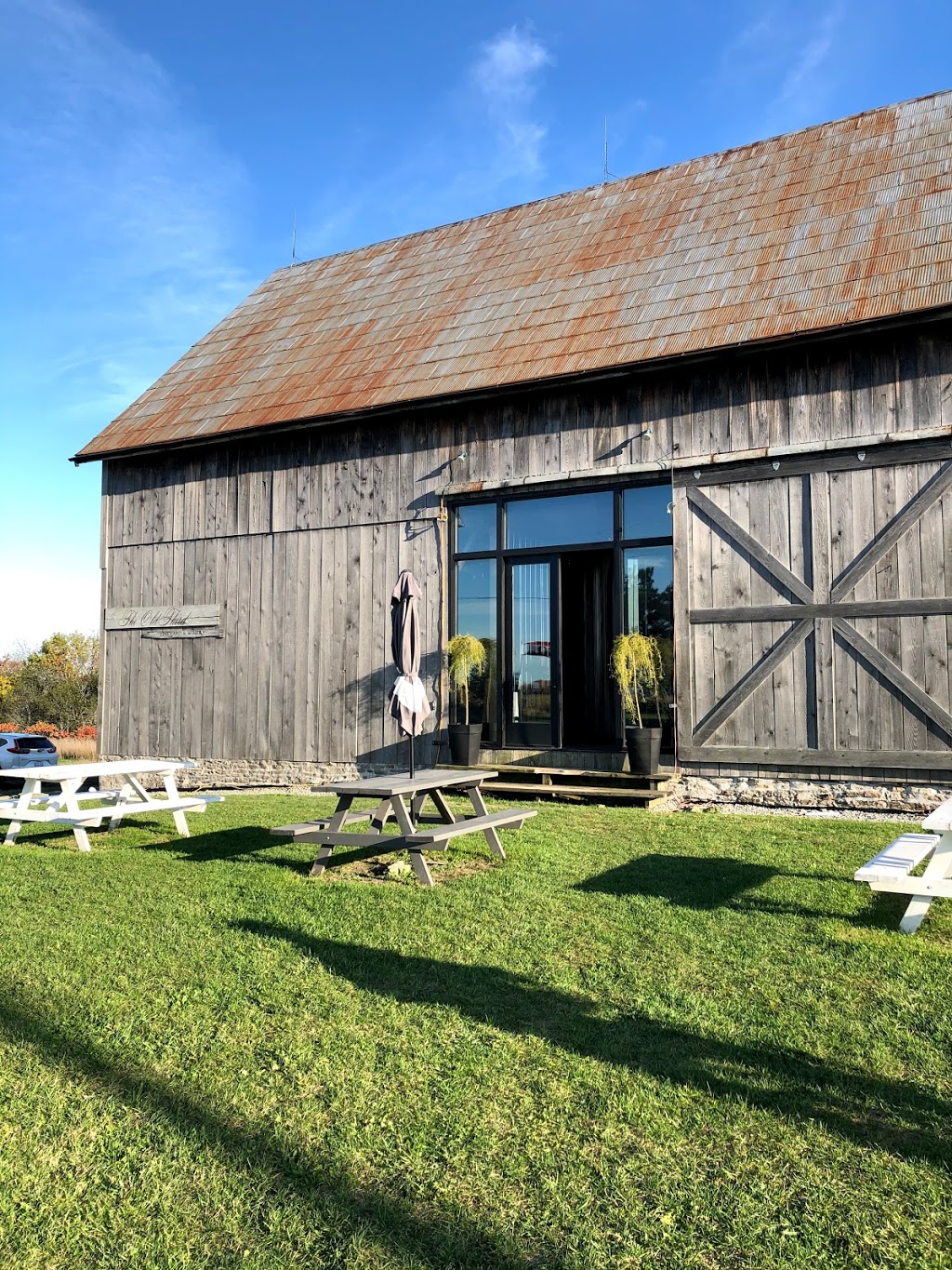 The Old Third Vineyard | 251 Closson Rd, Hillier, ON K0K 2J0, Canada | Phone: (613) 471-0471