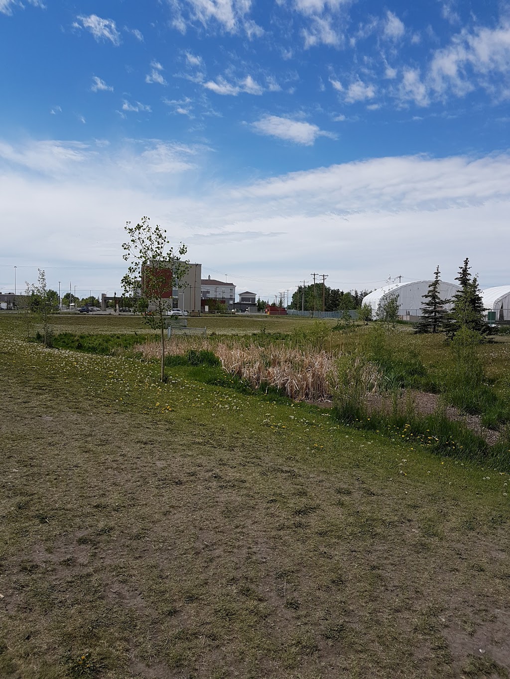 Small Dog Only Park | 36 East Lake Ave NE, Airdrie, AB T4A 2G8, Canada