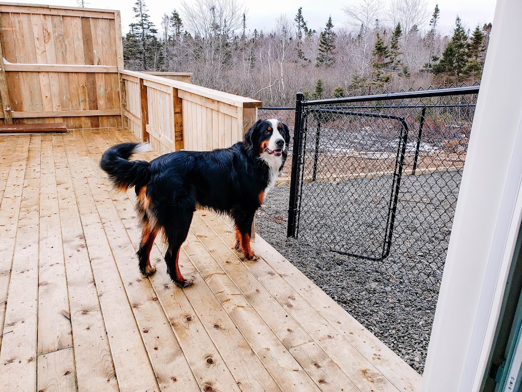 Rover Cove Dog Boarding & Training | 128 Roseway, Beach Rd, Shelburne, NS B0T 1W0, Canada | Phone: (902) 319-9154