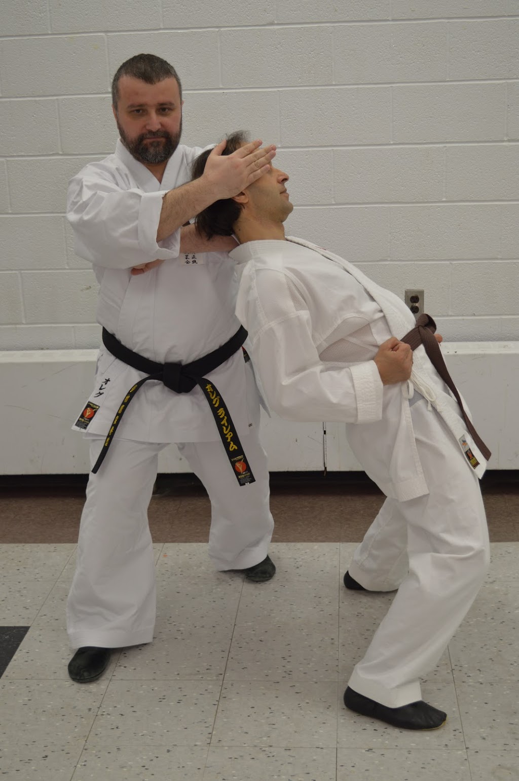 York Centre Karate | 580 Finch Ave W, North York, ON M2R 1N7, Canada | Phone: (416) 276-1932