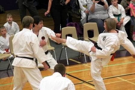 Elora Karate Dojo | 75 Melville St, Elora, ON N0B 1S0, Canada | Phone: (519) 669-0853