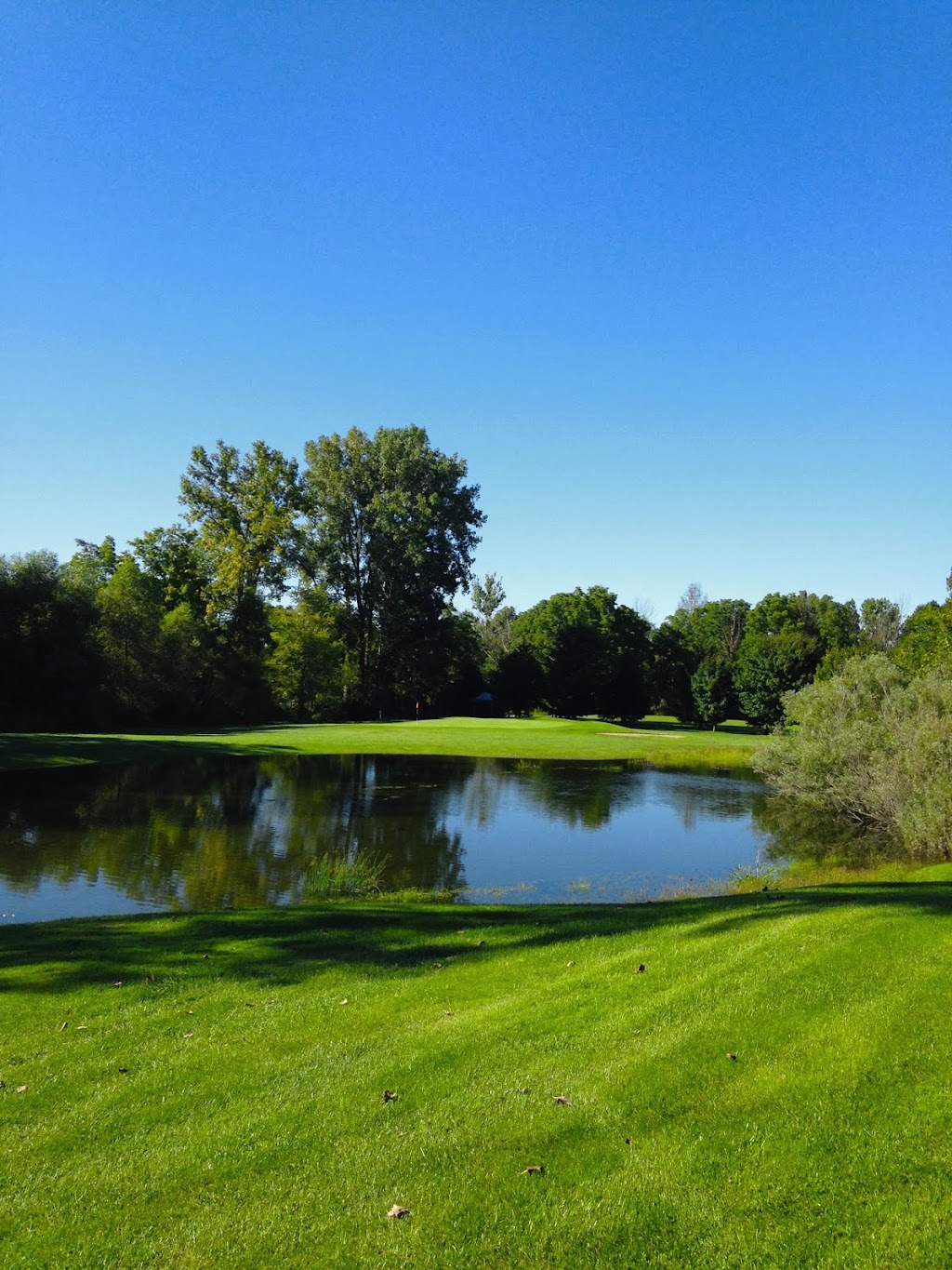 Arkona Fairways Golf Club | 8562 Townsend Line, Arkona, ON N0M 1B0, Canada | Phone: (519) 828-3211
