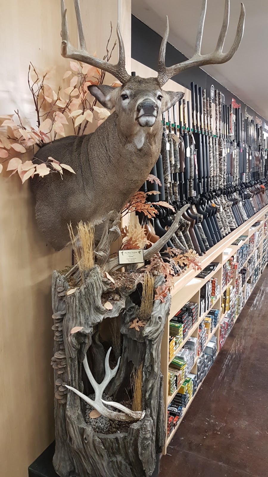 High Falls Outfitters and More | 6833 ON-62 N, Belleville, ON K8N 4Z5, Canada | Phone: (613) 968-2020