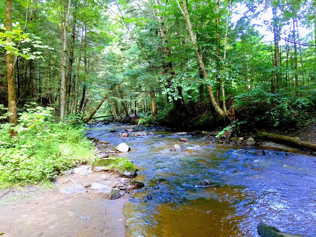 Park of the Gentilly river | 1000 Route des Flamants, Sainte-Marie-de-Blandford, QC G0X 2W0, Canada | Phone: (819) 298-2455