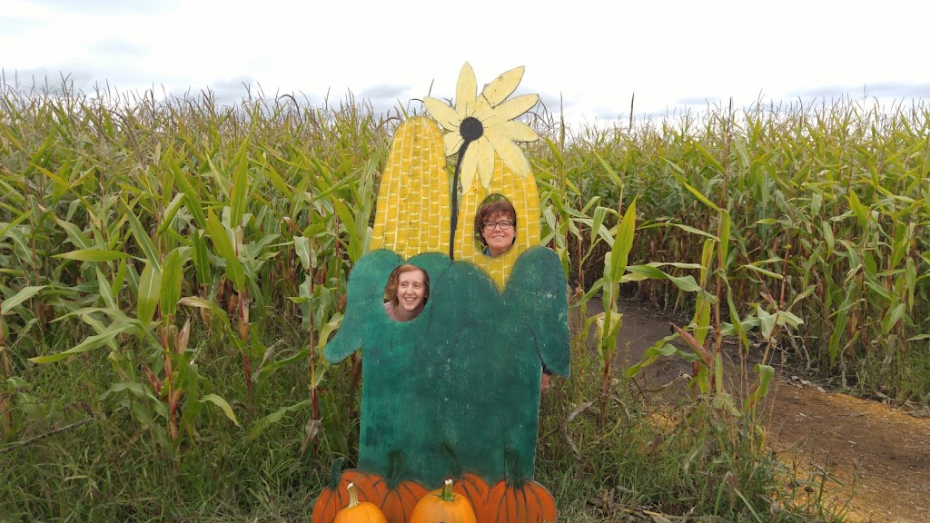 Bose Farms Corn Maze | 5948 156 St, Surrey, BC V3S 4N8, Canada | Phone: (778) 578-5450