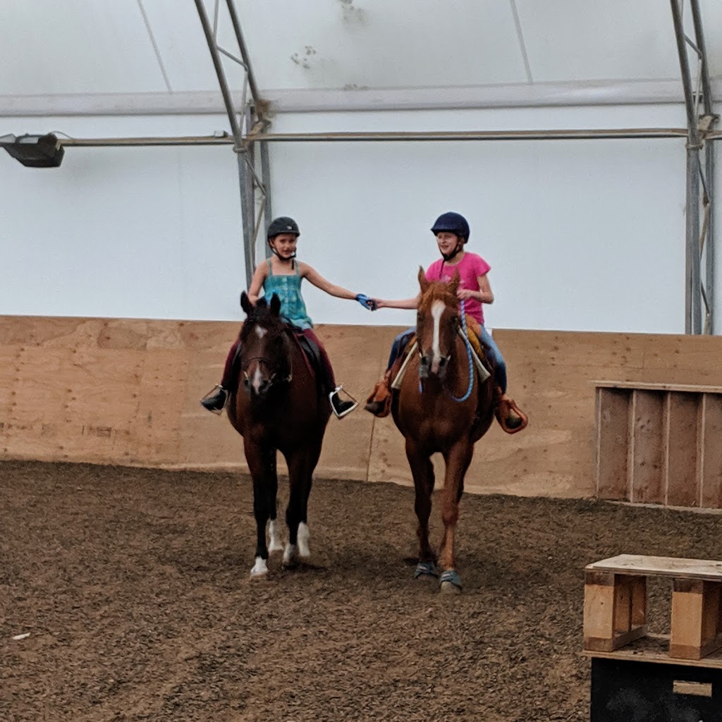 Superior Equestrian Center | Highway 206 - 66120, MB R0E 1J0, Canada | Phone: (204) 791-9800