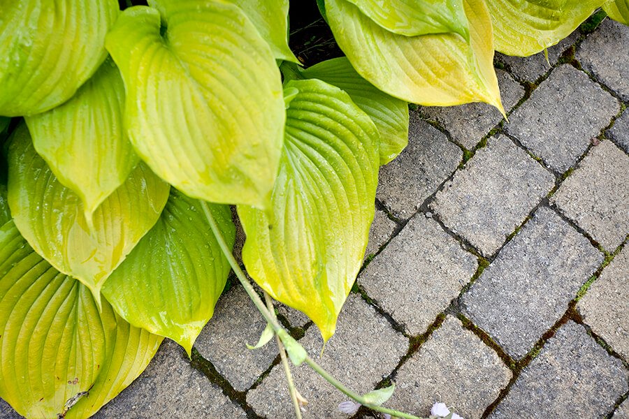 Techo-Bloc Store at Montréal Brique et Pierre | 1070 Mnt Masson, Laval, QC H7C 2R2, Canada | Phone: (450) 661-1515