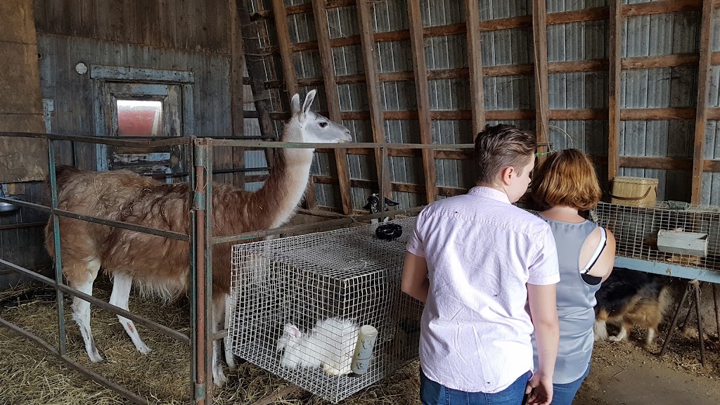 Ferme GIJAMIKA | 214 Rang de lEmbarras, Kamouraska, QC G0L 1M0, Canada | Phone: (418) 492-5304