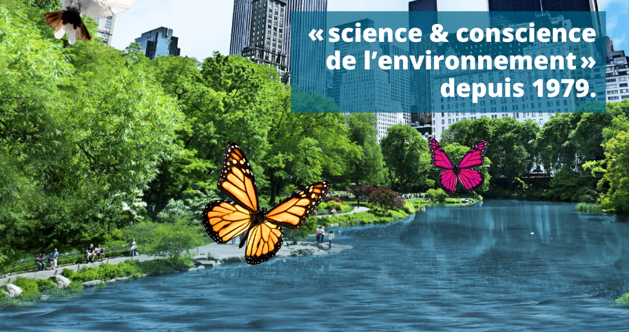 Enviroservices | 589 Rue St Jean Baptiste, Terrebonne, QC J6W 4R2, Canada | Phone: (450) 471-0552