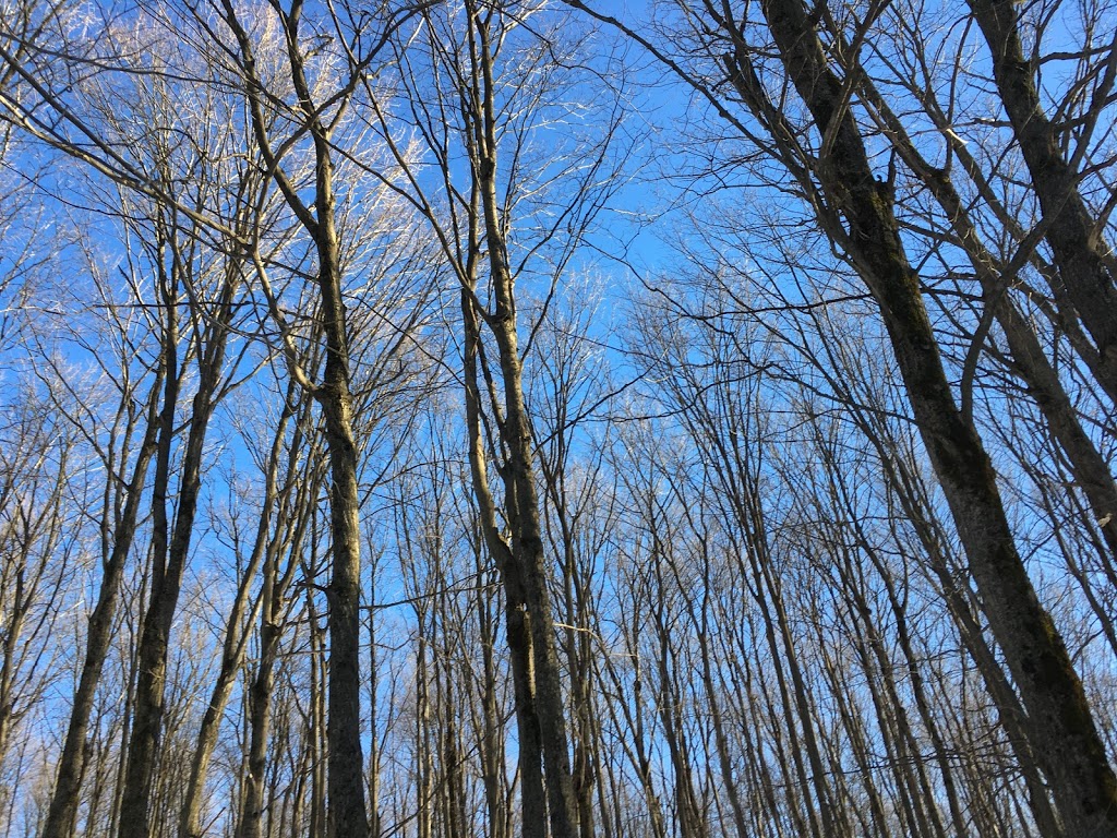 Tunnel Des Érables Pardus | Chesterville, QC G6R 0N9, Canada