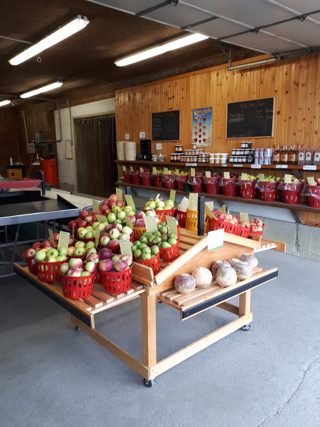 Blakes Apple Orchard | 42933 St Michaels Rd, Brussels, ON N0G 1H0, Canada | Phone: (519) 887-6972